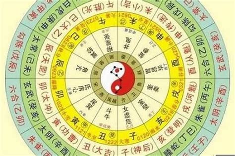 適合投資股票的八字|解析八字，炒股有方——八字命理与股市投资指南